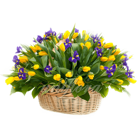 http://uniflora.com.ua/wp-content/uploads/2014/03/Корзина-ирисы-и-тюльпаны.png