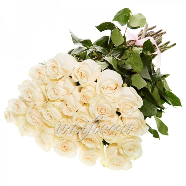Букет из 25 белых роз (импорт)