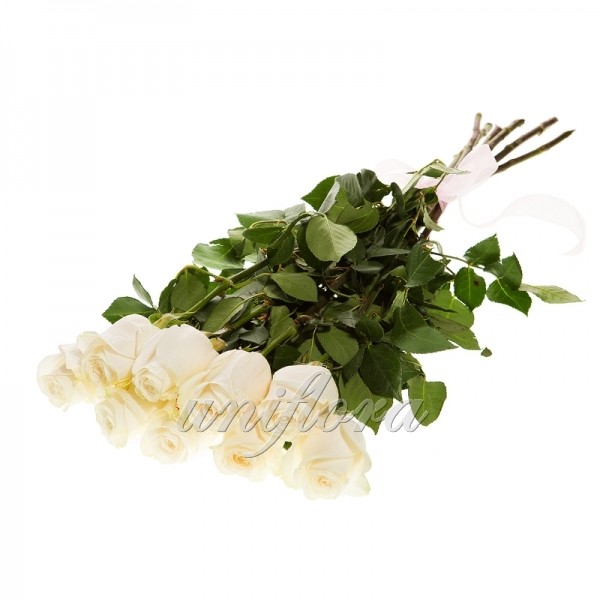Букет из 11 белых роз (импорт)