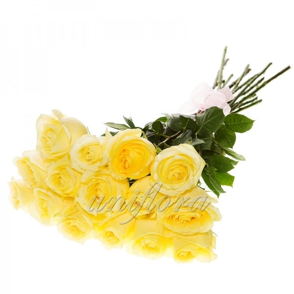 Букет из 15 желтых роз (импорт)