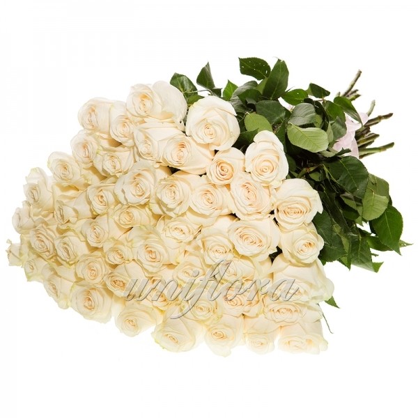 Букет из 49 белых роз (импорт)
