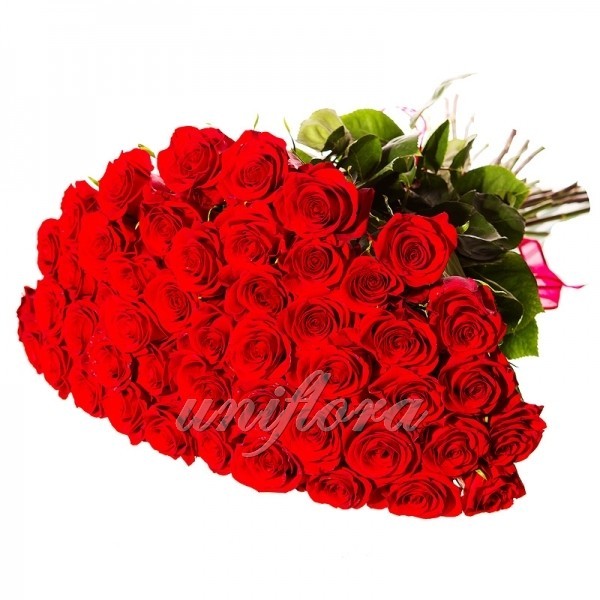 Букет из 49 красных роз (импорт)