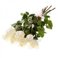 Букет из 7 белых роз (импорт)