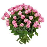 Букет из 65 розовых роз | Аква (укр)