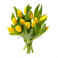 Букет из 15 желтых тюльпанов