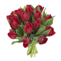 Букет из 19 бордовых тюльпанов