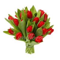 Букет из 19 красных тюльпанов
