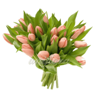 Букет из 21 персикового тюльпана