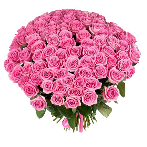 Букет з 101 рожевої троянди Аква, 101 рожева троянда Аква - «UniFlora»