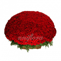 Букет из 1001 красной розы | Гран При (укр)