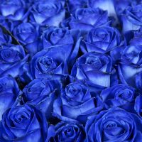 Синие розы (Заказ от 5шт.)