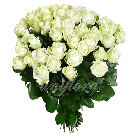 Букет из 101 белой розы | Аваланш (укр)
