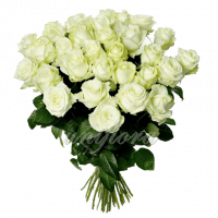 Букет из 35 белых роз | Аваланш (укр)