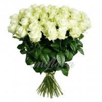 Букет из 51 белой розы | Аваланш (укр)