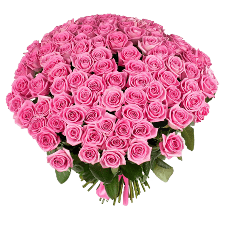 Букет з 101 рожевої троянди | Аква (укр)
