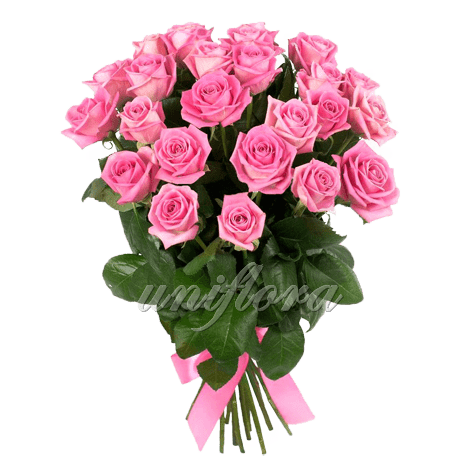 Букет из 25 розовых роз | Аква (укр)