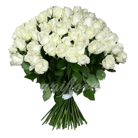 Букет из 101 белой розы | Акито (укр)
