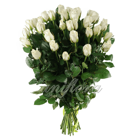 Букет из 35 белых роз | Акито (укр)