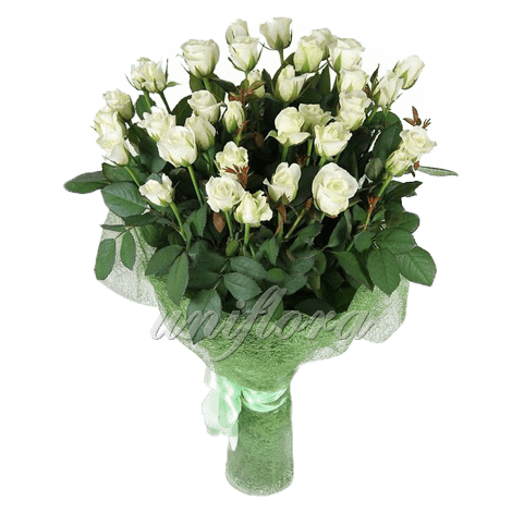 Букет из 45 белых роз | Акито (укр)
