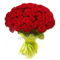 Букет из 101 красной розы | Ред Наоми (импорт)