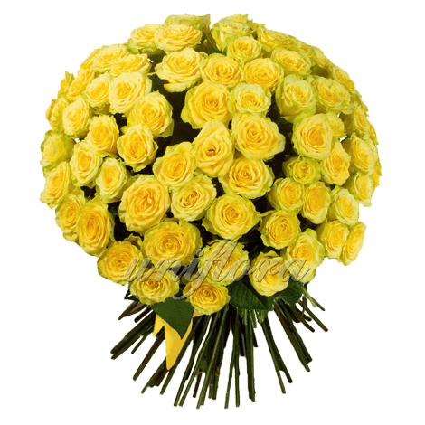 Букет из 101 желтой розы | Илиос (укр)
