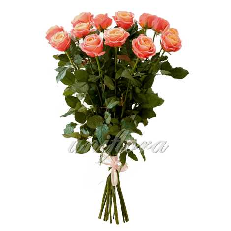 Букет из 15 персиковых роз | Мисс Пигги (укр)