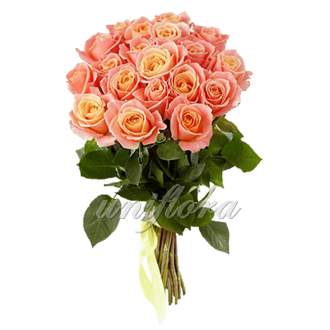 Букет из 25 персиковых роз | Мисс Пигги (укр)