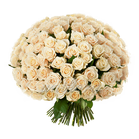Букет из 101 кремовой розы | Талея (укр)