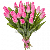 Букет 25 тюльпанов розовых