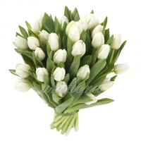 Букет тюльпанов белых