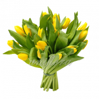 Букет тюльпанов желтых