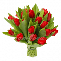 Букет тюльпанов красных
