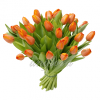 Букет тюльпанов оранжевых
