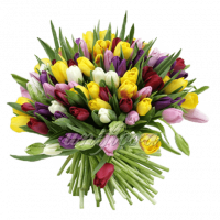 Букет тюльпанов разноцветный микс 1