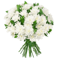 Букет из 19 веток белых хризантем